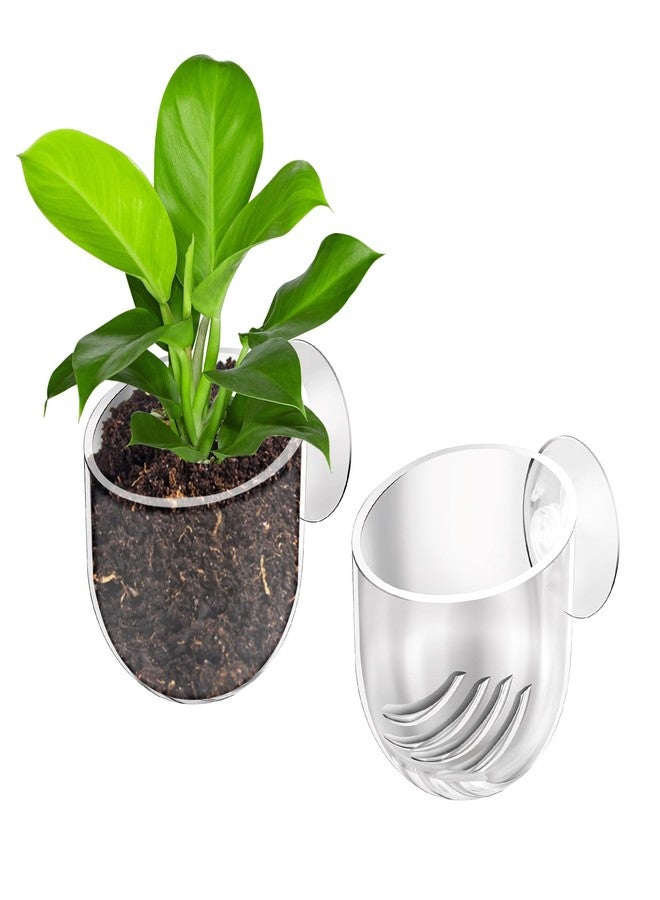Alrhso 2Pcs Aquarium Plant Holder Suction Cup Planter Fish Tank Plant Pots Clear Acrylic Aquatic Plants Pot Aquarium Plants Cup for Fish Tank Aquascape Decorations Water Culture Decor - Image 1